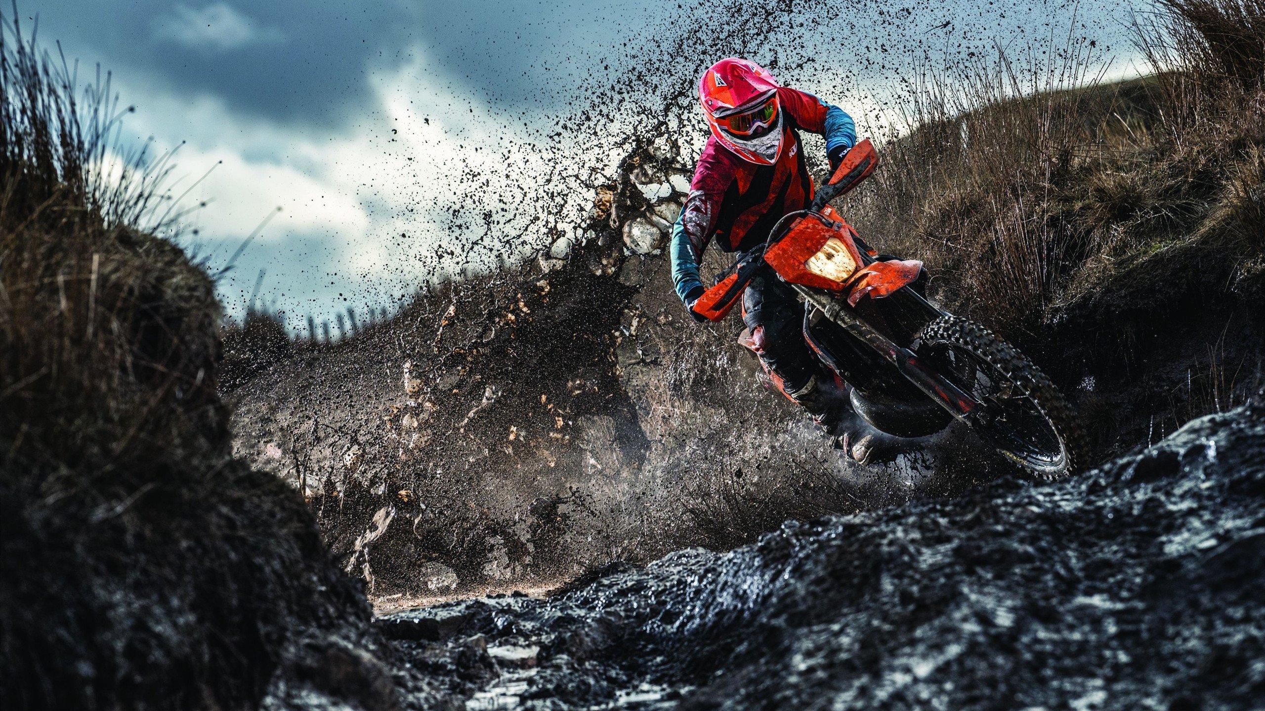 kaiyun官方入口登录-_绿野奇遇：穿越原始森林的生存竞技赛_，原始森林穿越方案